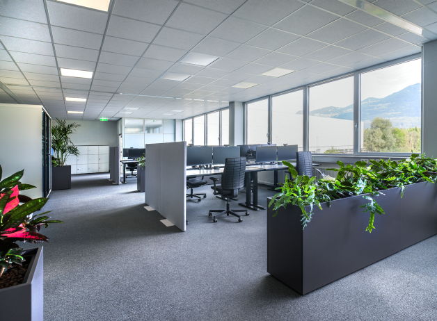 Großraumbüro mit höhenverstellbaren Schreibtischen, ergonomischen Bürostühlen und Pflanzinseln