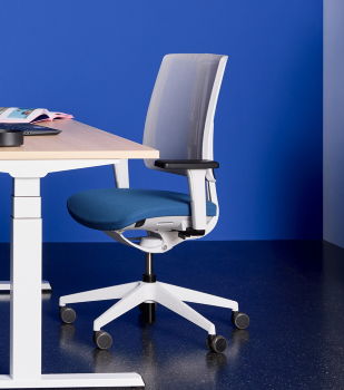 hali Open Office mit Tisch s136 und Framework Struktur