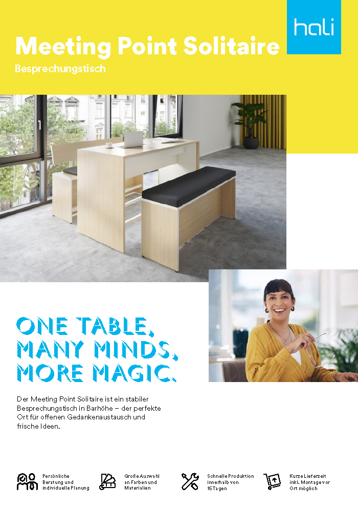 hali Produktblatt Meeting Point Solitaire in Webversion